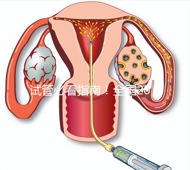 試管必看指南!全國20家試管嬰兒醫(yī)院真實成功率對比(附3-8萬費用避雷表)