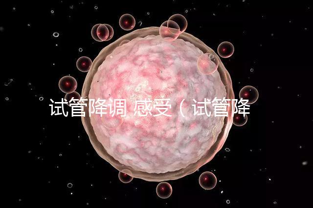 試管降調(diào) 感受(試管降調(diào)后的反應)