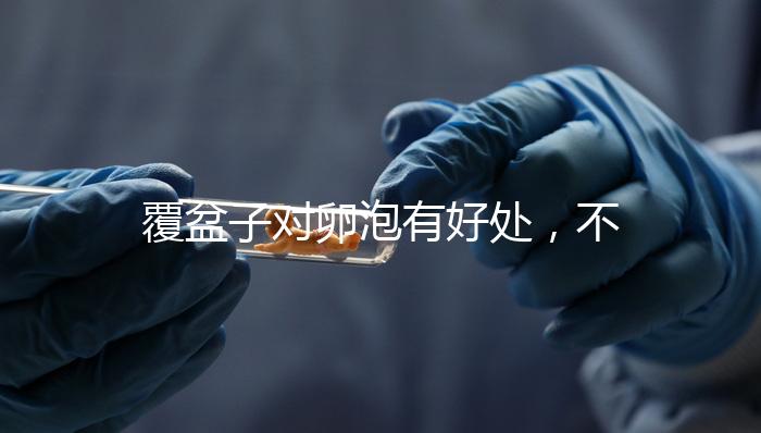 覆盆子對卵泡有好處，不要錯過維持卵巢早衰，軟化宮頸