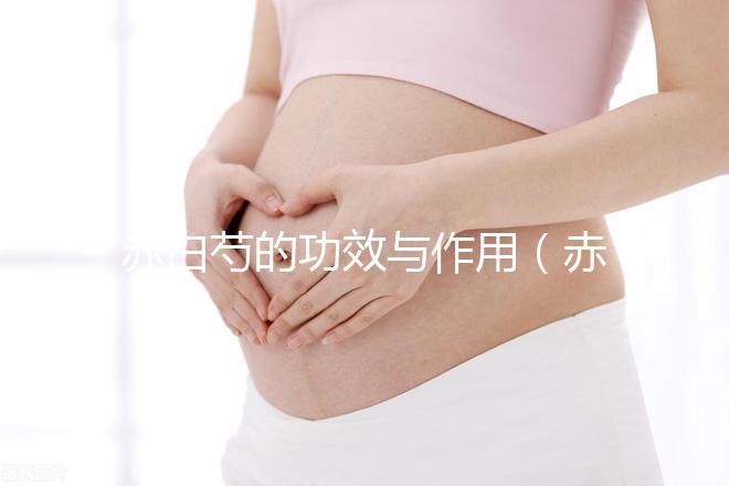赤白芍的功效與作用(赤白芍的功效與作用的功能與主治)