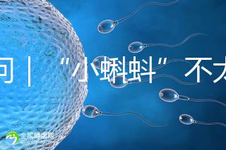 追問|“小蝌蚪”不太給力,一代二代試管嬰兒技術(shù)哪個(gè)強(qiáng)?