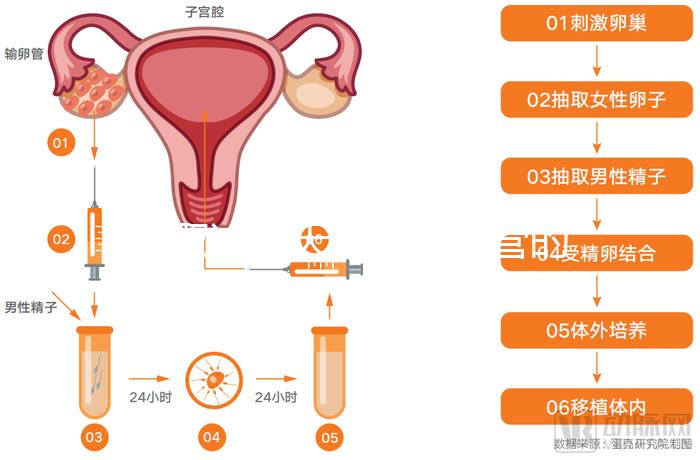 這取決于天津供精試管的成功率最新的醫(yī)院名單供您參考