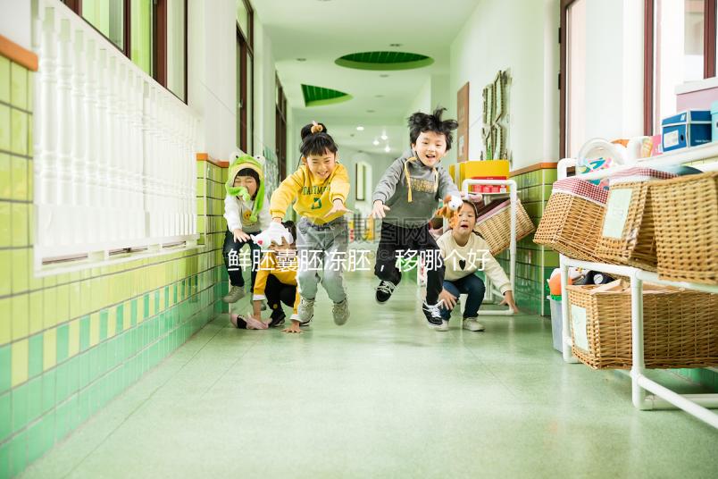 鮮胚囊胚凍胚,移哪個好?關于試管嬰兒的那些事兒