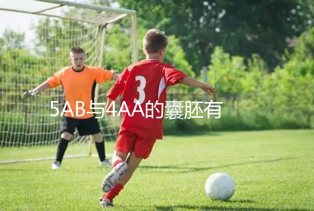 5AB與4AA的囊胚有什么區(qū)別?誰(shuí)更適合移植?