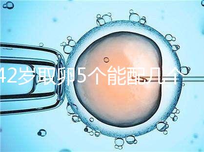 42歲取卵5個能配幾個胚胎難說，只有2個許是技術差導致
