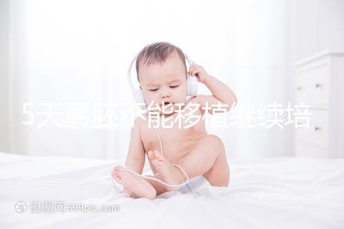 5天囊胚不能移植繼續(xù)培養(yǎng)？美國(guó)試管專(zhuān)家為您解析！