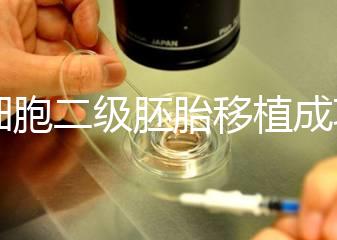 9細(xì)胞二級(jí)胚胎移植成功案例不少，過(guò)來(lái)人告訴你著床率較高