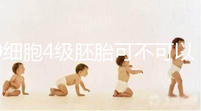 9細胞4級胚胎可不可以移植，看完質量差不差再下定論