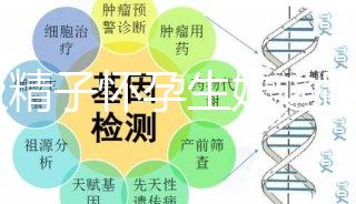 C級精子懷孕生娃之路不好走，試管或是唯一的選擇
