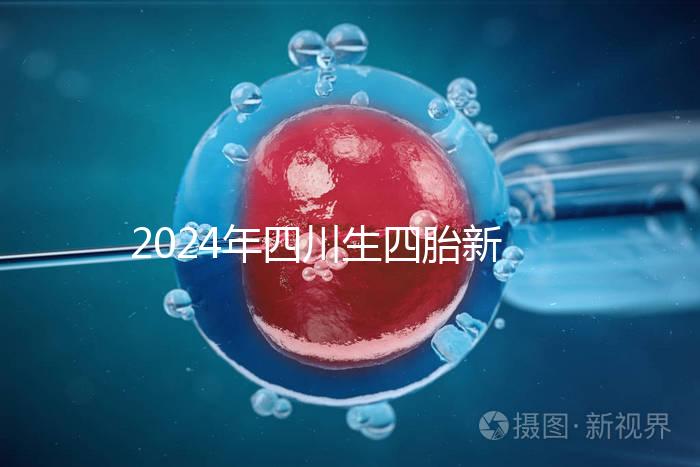 2024年四川生四胎新政策罰款多少分區(qū)，答案在這里自取