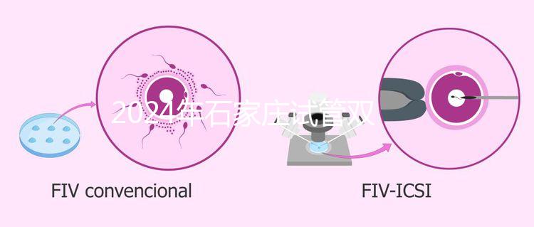 2024年石家莊試管雙胞胎醫(yī)院排名,不要錯過新華、長安