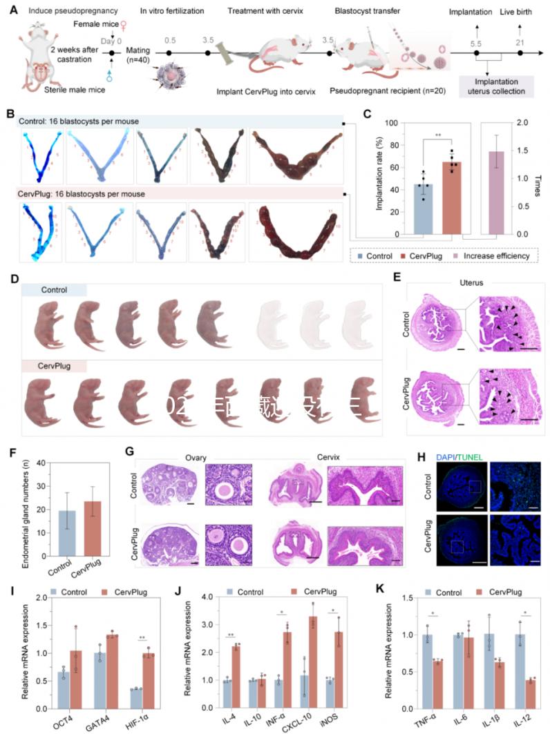2024年西藏還沒(méi)有三代試管嬰兒醫(yī)院,那該去哪里做三代呢?
