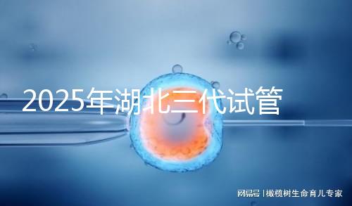 2025年湖北三代試管嬰兒費用明細一覽 附價格清單！