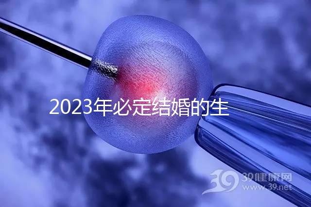 2023年必定結婚的生肖匯總，屬鼠、牛女均有望順利成婚